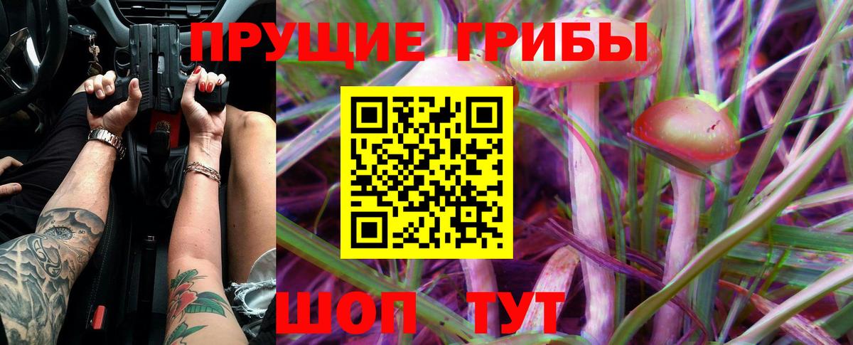 Псилоцибиновые грибы MAGIC MUSHROOMS Алейск