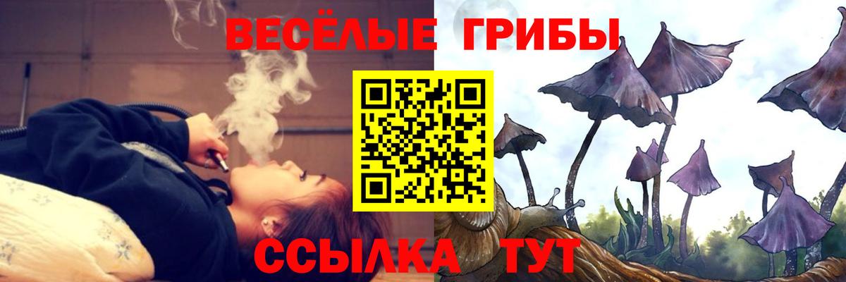 Алейск  Галлюциногенные грибы Magic Shrooms  Вход с VPN 